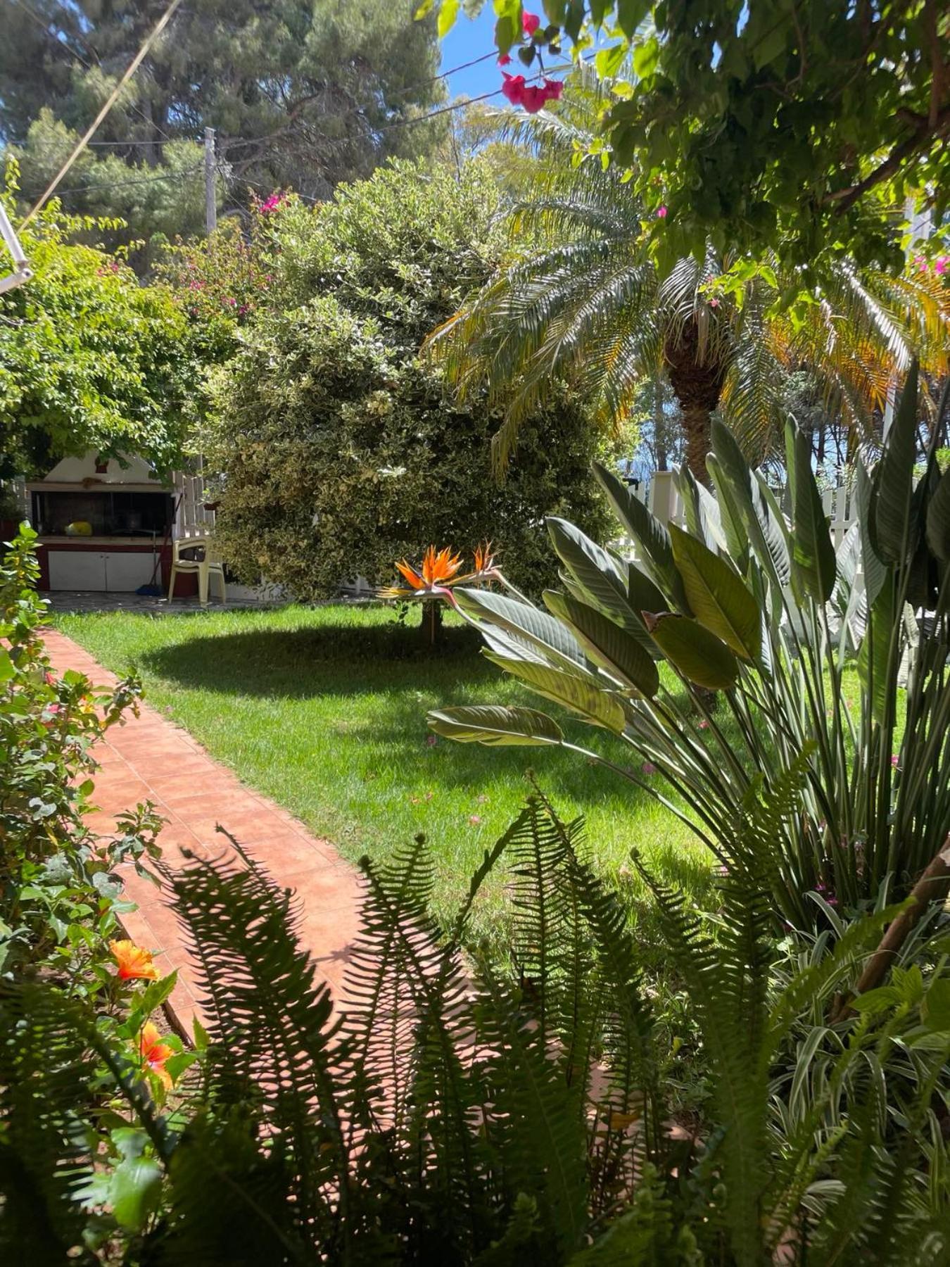Buganvillas Studios Πρέβεζα Εξωτερικό φωτογραφία